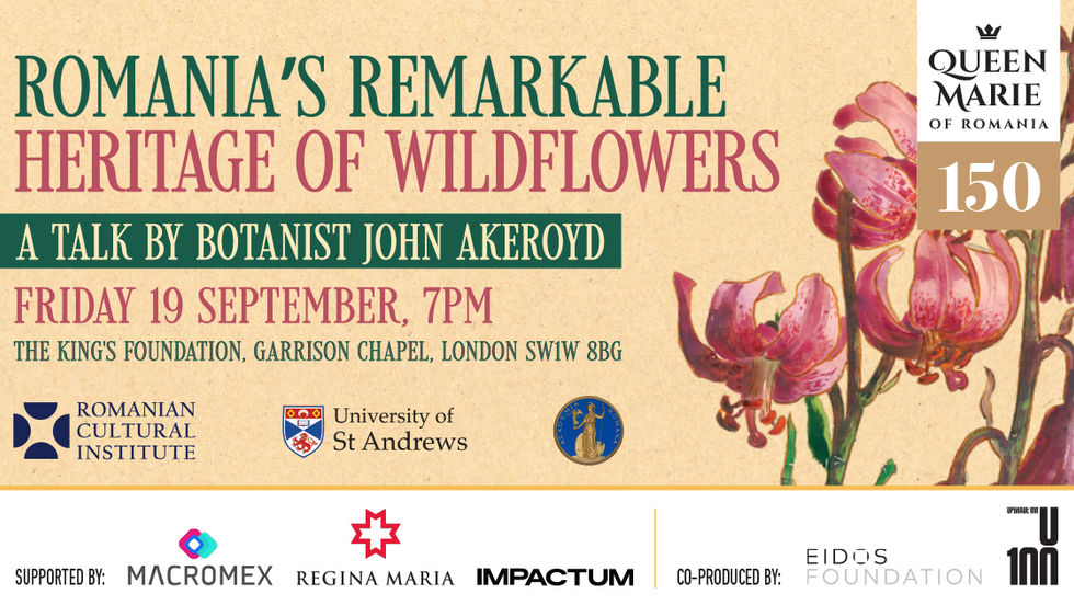 Romania’s remarkable heritage of wildflowers