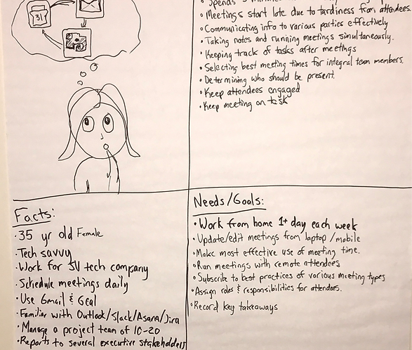 1a_Iris-FactsPainpointsNeedsGoals (1).pn