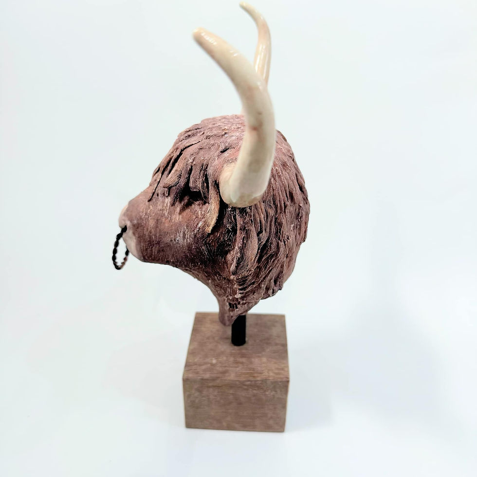 Thumbnail: Michael P Young - Highland Bull Head