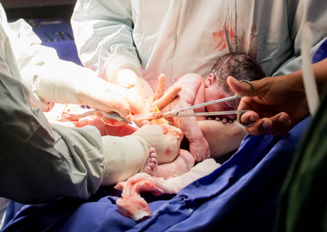 NRF_9008 copiarb.jpg