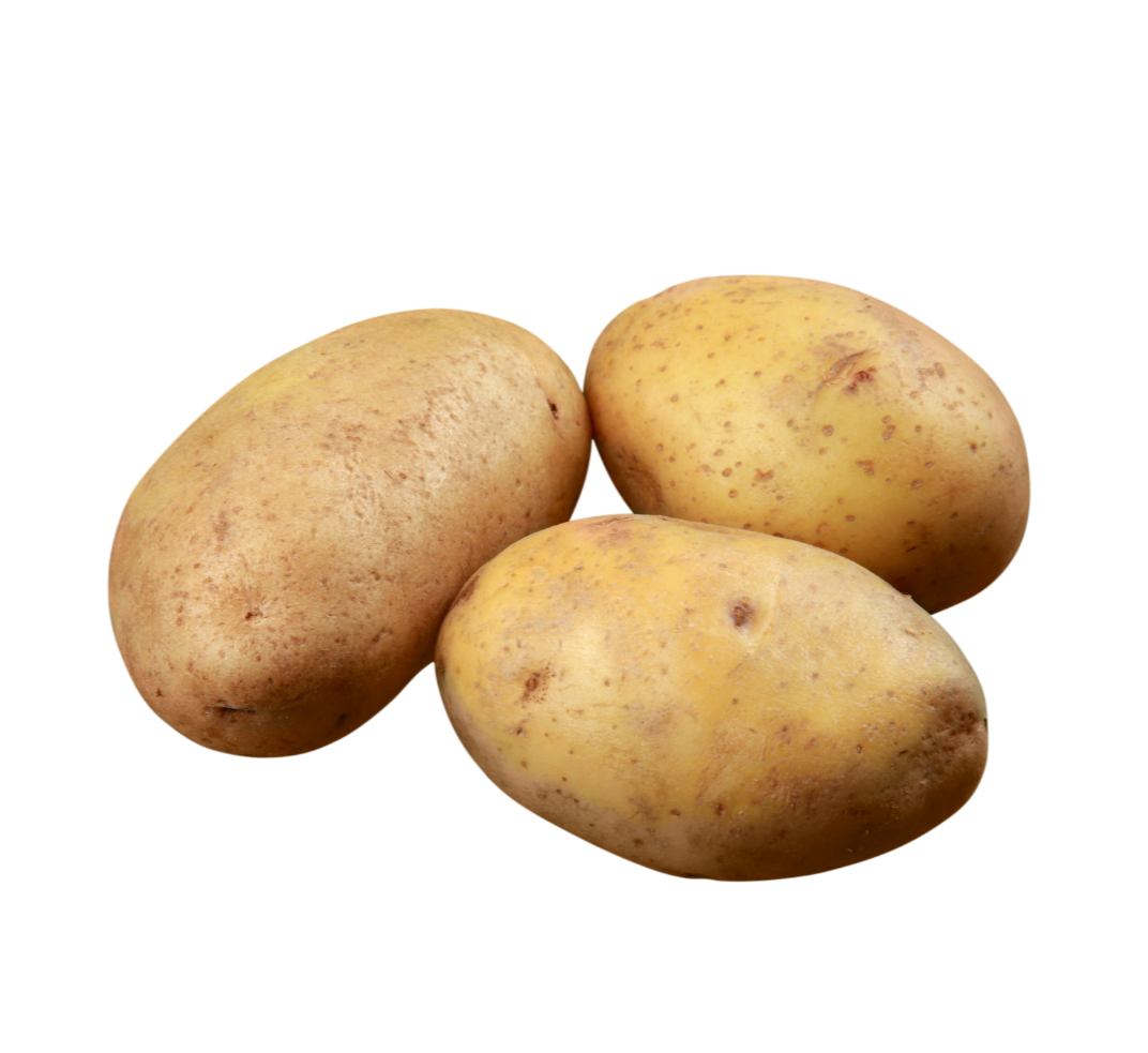 Potato