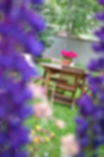 jardin