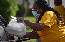 Min.Greggserving 2(yellow).jpg