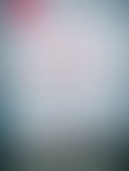 Book Highlight: If You Tell by Gregg Olsen