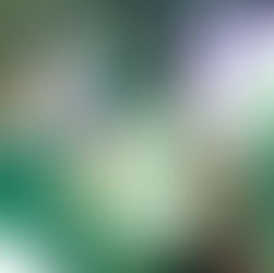 El ‘Pálpito’ de un corazón ajeno