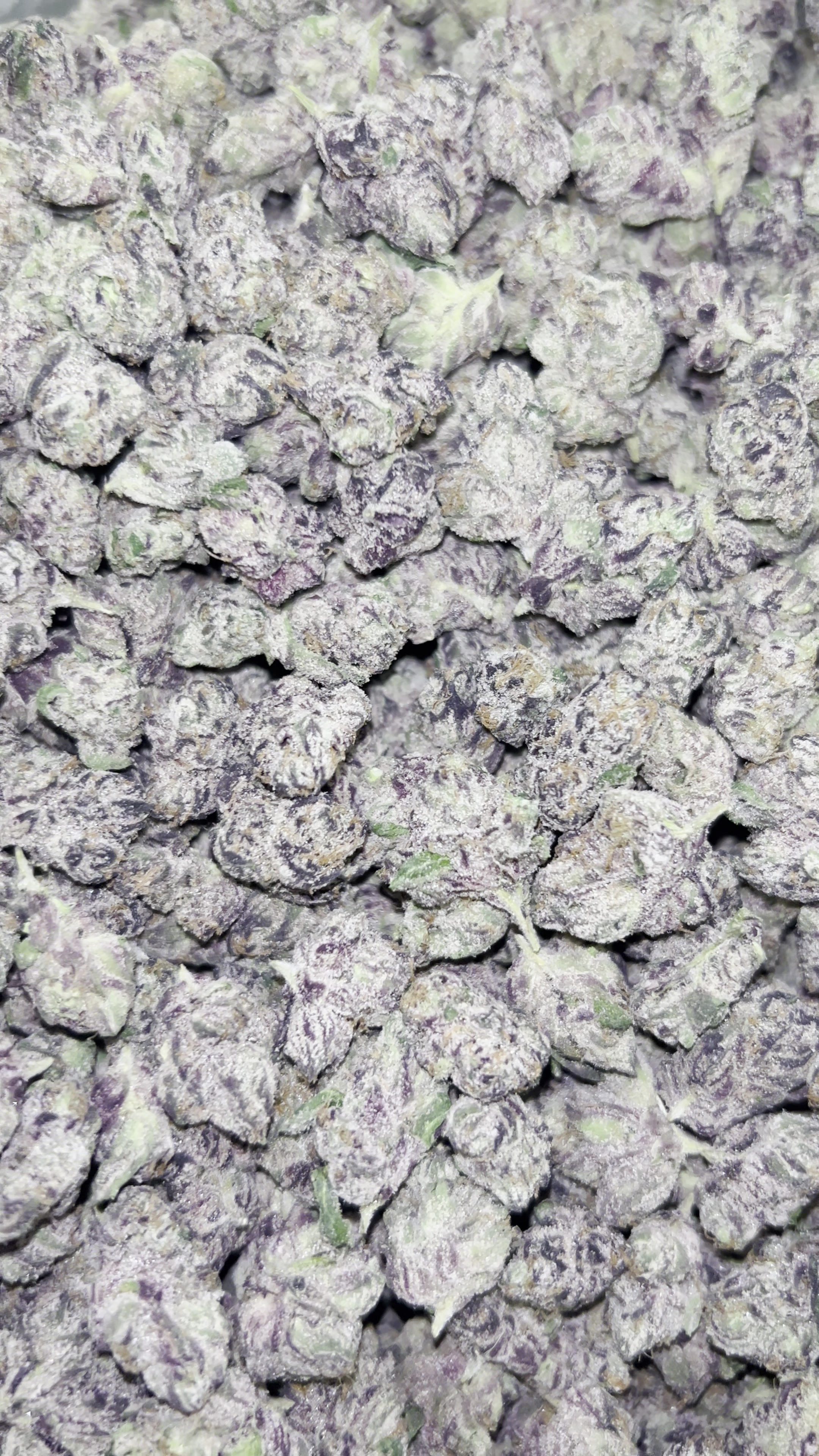 Cherry Gelato Smalls