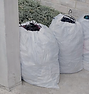 bags out for pickup_edited.png