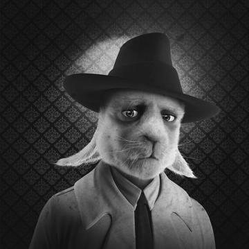 Casablanca.png
