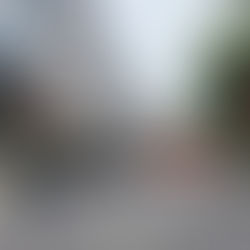 Ready for Action: Mobilizing All Forces for a Zero Crime Major Event