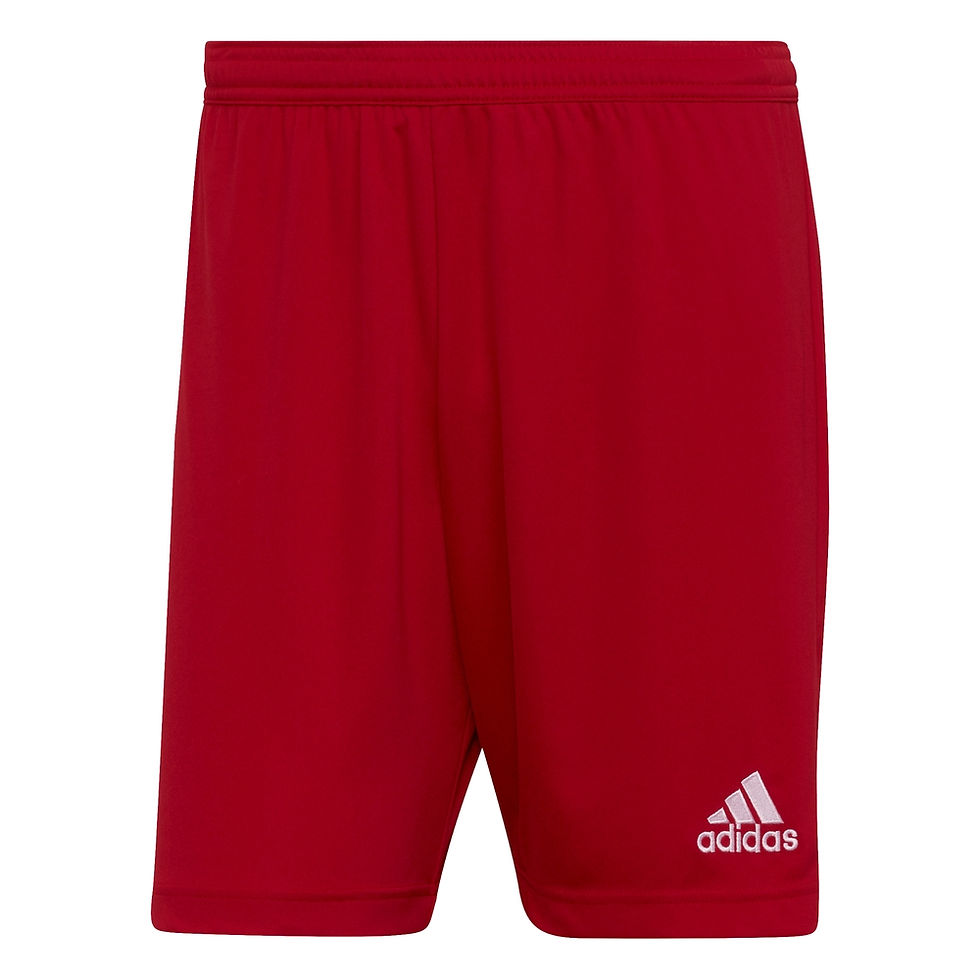 Miniatiūra: 10 x Vaikiški šortai Adidas Entrada 22 (6 sp.)