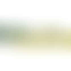 Ethics and Leadership 