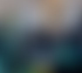 Coordinating with the Force Multipliers and other Friendly Forces