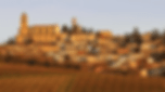 vignale_mto