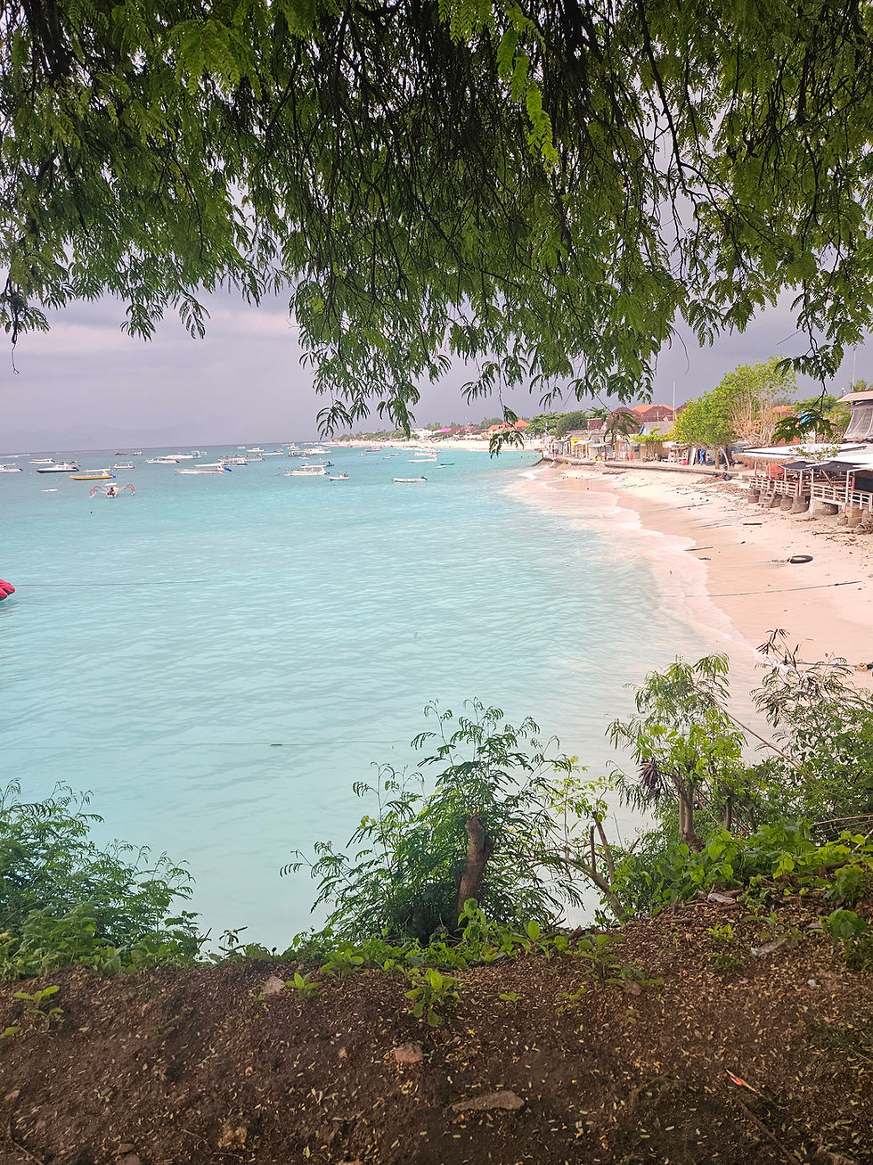 Wide angle view of a sunrise over a calm beach, symbolising new beginnings