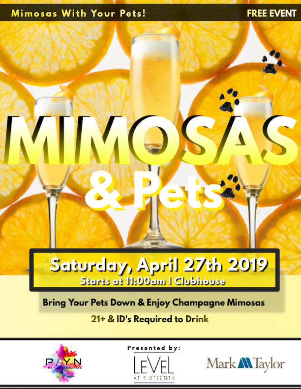 Mimosas & Pets