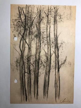 Trees.jpg