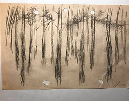 trees 4.jpg