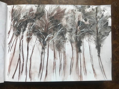 trees 24.jpg