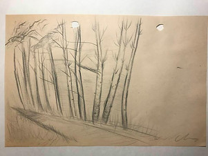 trees 3.jpg