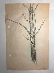 trees 7.jpg
