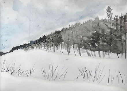 trees 23.jpg