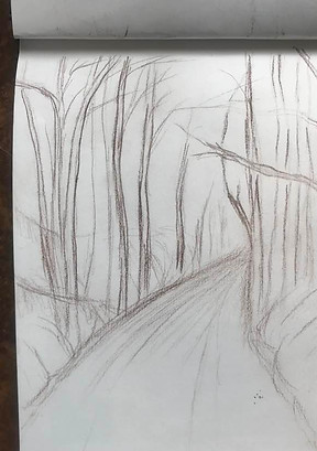 trees 27.jpg
