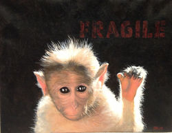 Fragile-2