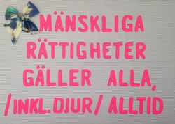 Rättigheter