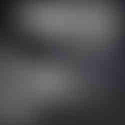 מייבש שיער Wahl