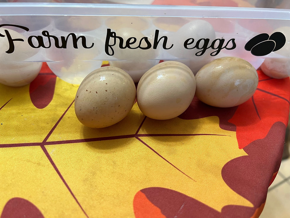 Thumbnail: Farm Fresh Eggs (Local Pick up Only)