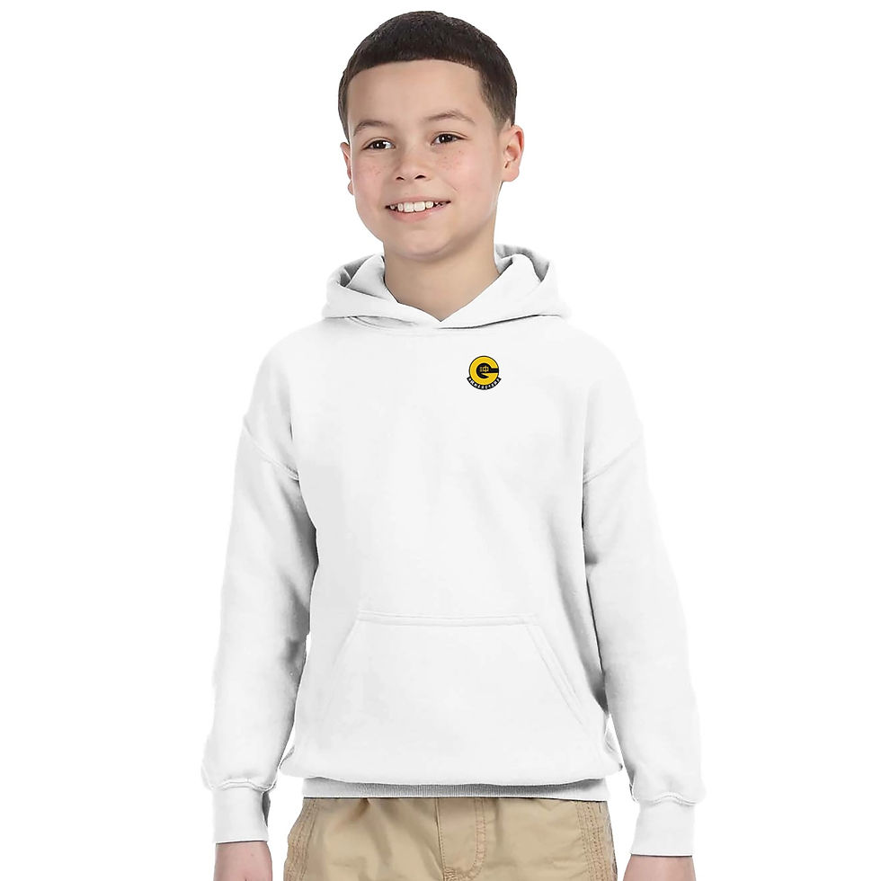 Thumbnail: Gold Tiger Karate Dojo Kids Pullover Hoodie