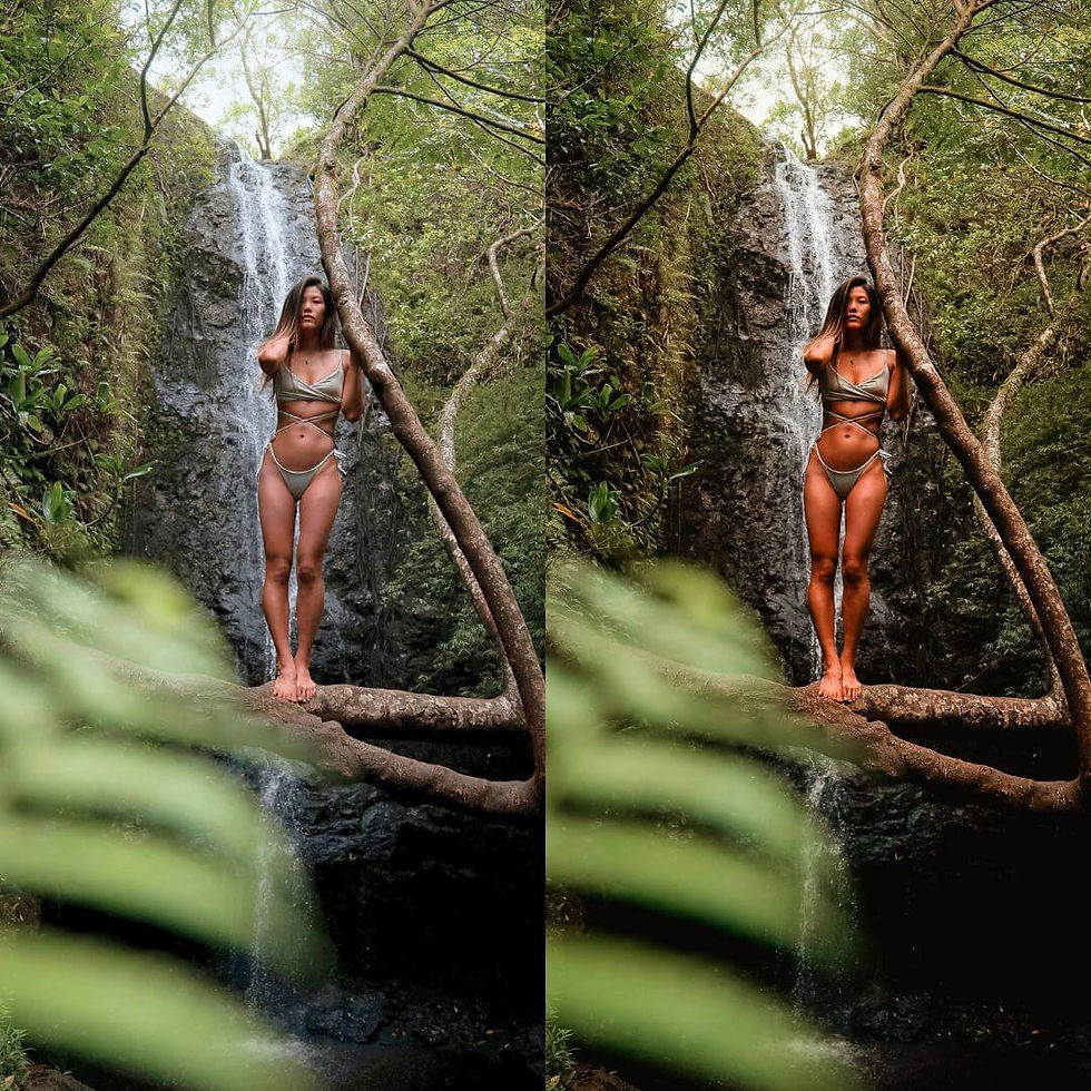 Thumbnail: Lush Paradise