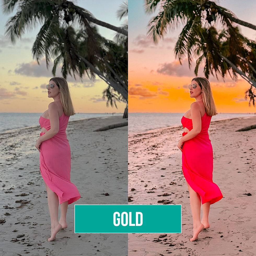 Thumbnail: Tropical Video Pack