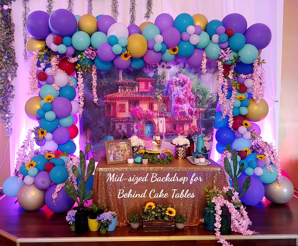 Encanto Party