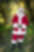 Santa Claus