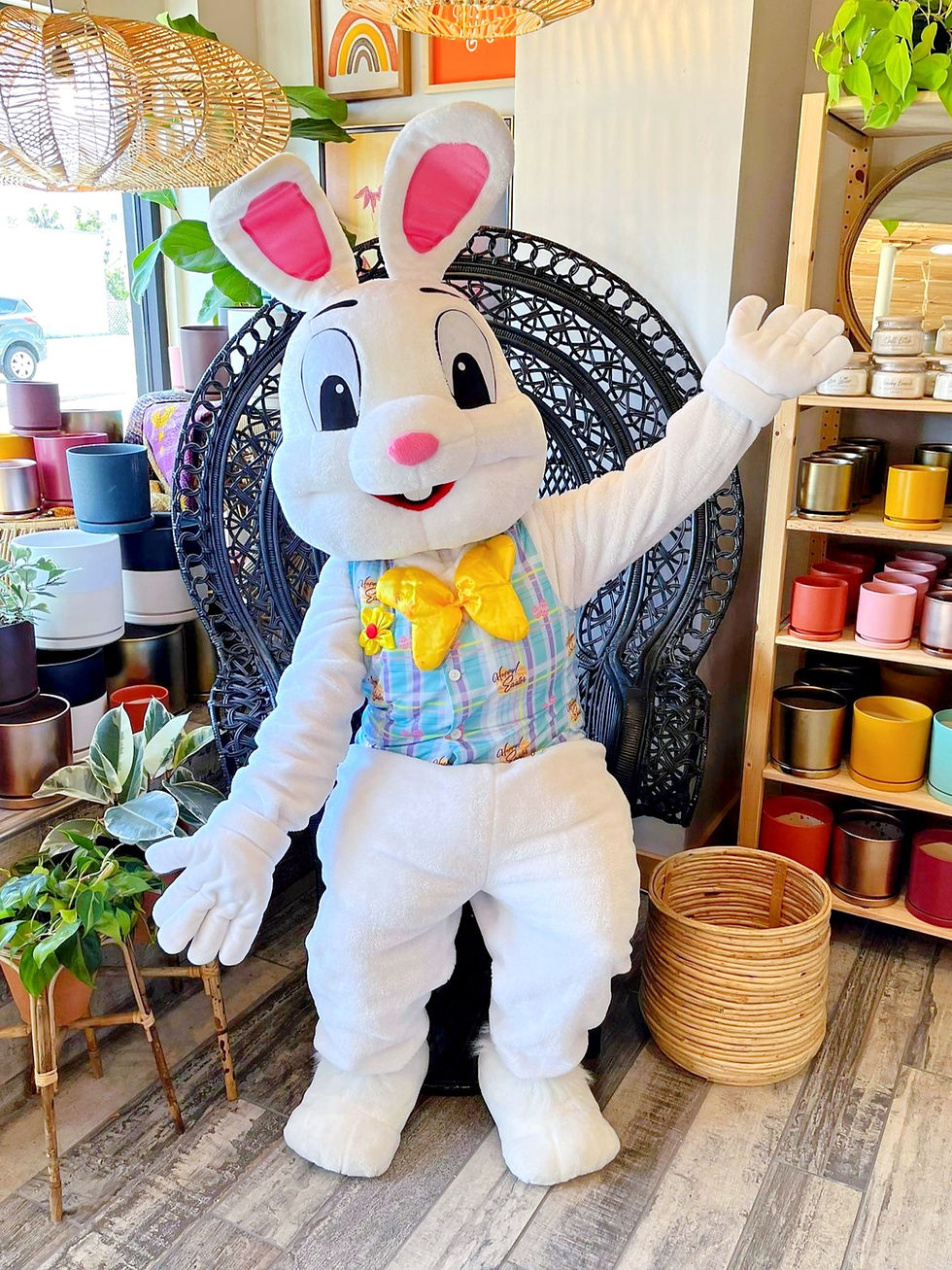 Little Bunny