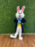 Mr. Rabbit