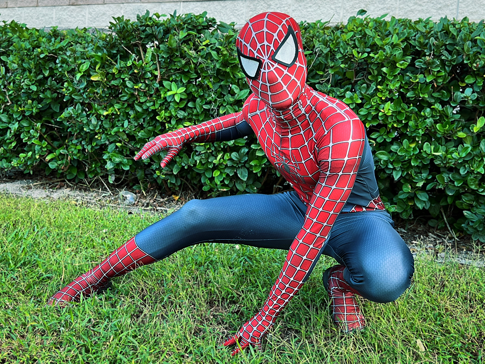 Spider Hero