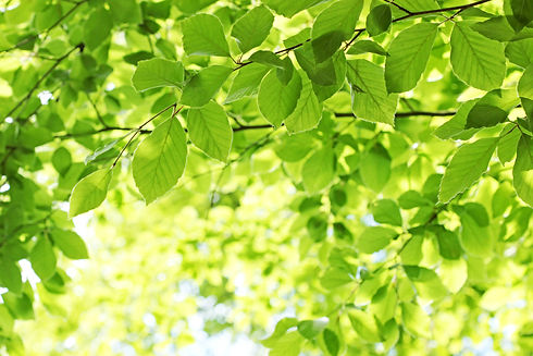 AdobeStock_101288303.jpeg