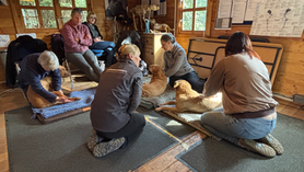 Students kneel and sit with dogs in a cozy wooden therapy room, surrounded by charts and animal skeleton displays.