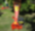 226-BROYEUR-CARAVAGGI-BIO60-scaled_edited.png