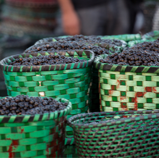 Açaí
