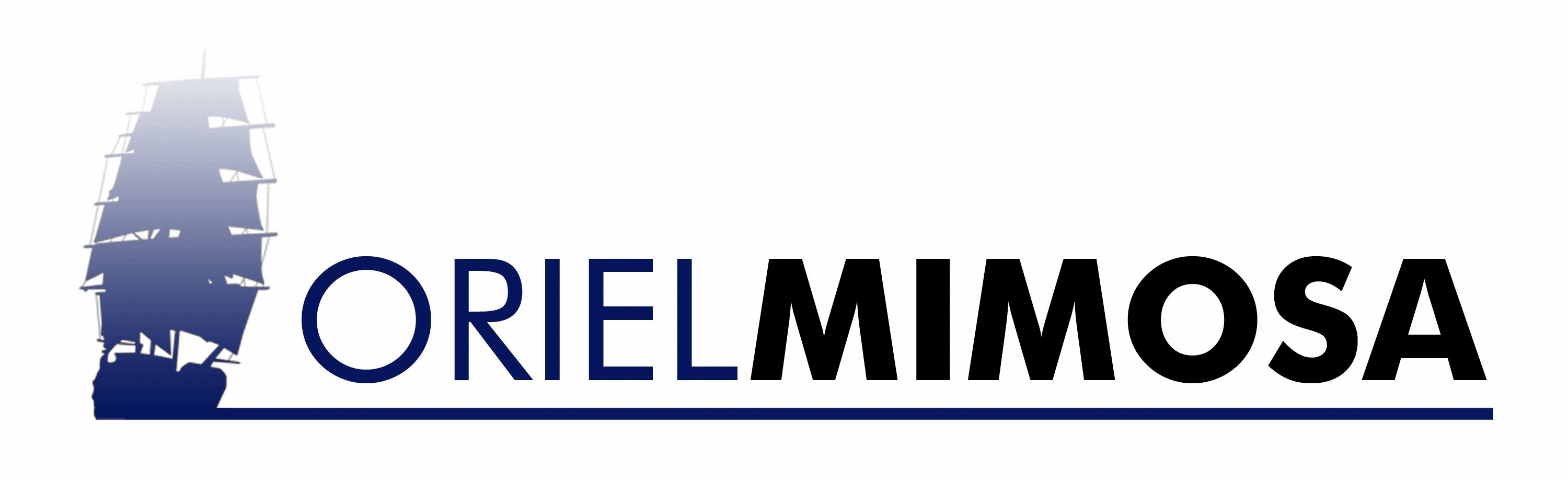 Oriel Mimosa Gallery Ogwyn Davies