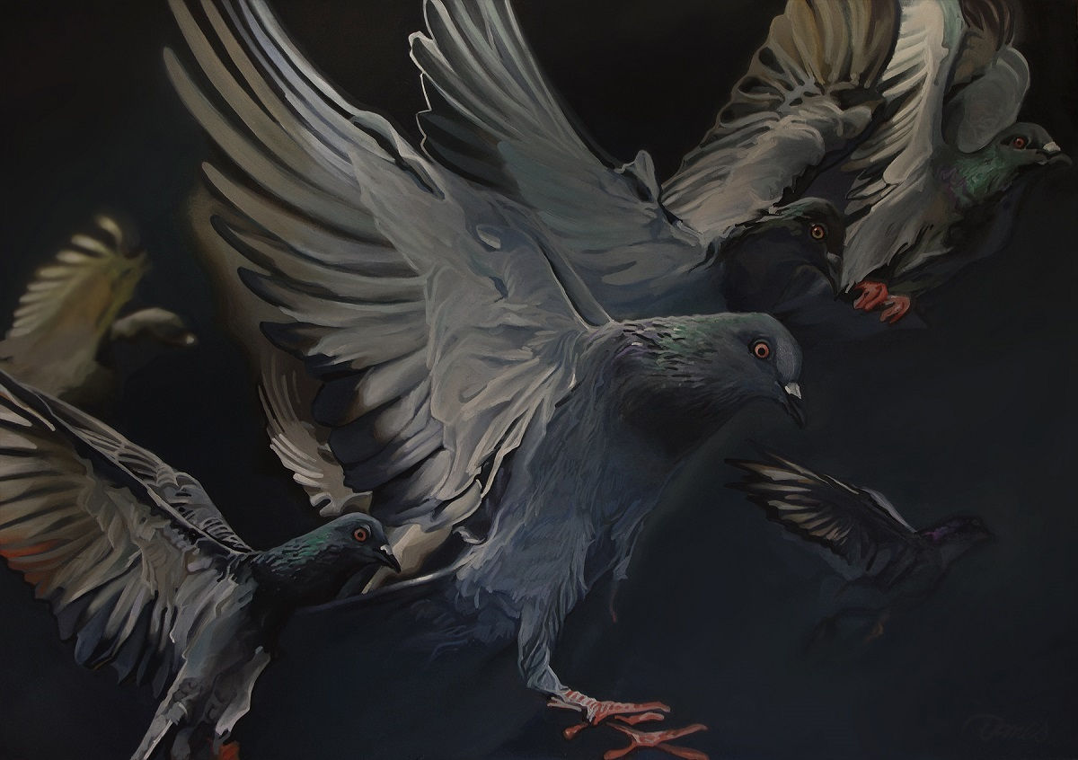 James Summerbell - (Don't) Feed the Birds