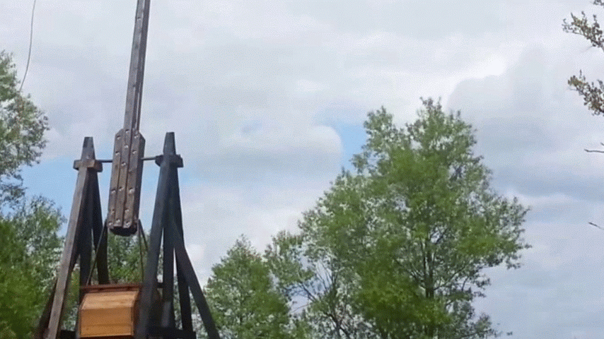 Picasa - 20140505_132850.gif