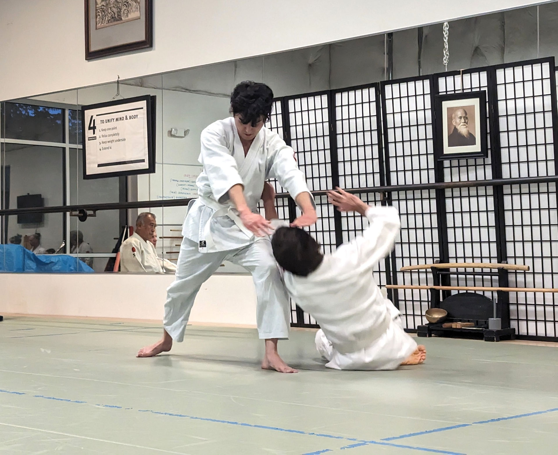 Aikikai throwing 