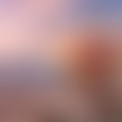 Carte e prodotti giapponesi istruzioni per l'uso! 