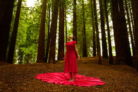 Black and White Building