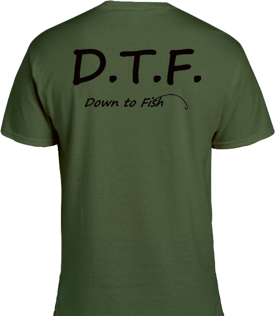 Thumbnail: D.T.F. t-shirt (Black Letters)