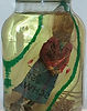 Tageskonservierung in Glas